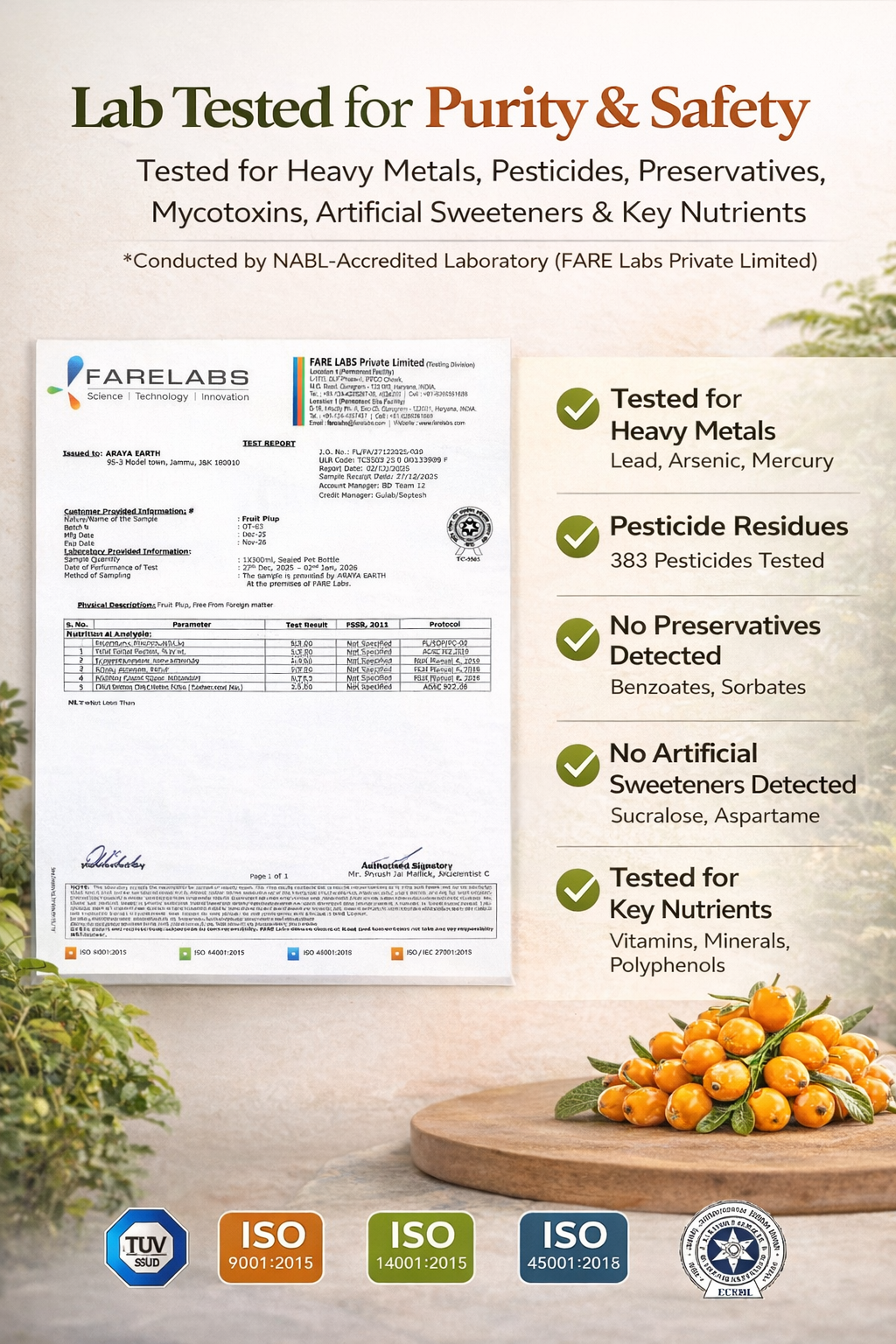 Araya Earth Sea Buckthorn Juice Concentrate – 100% Pure Himalayan Pulp | Rich in Omega 3-6-7-9 & Vitamin C | Skin Glow, Immunity & Gut Support | Cold Pressed | No Added Sugar | 300ml | Pack of 1